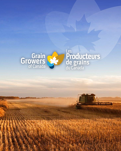 Grain Growers of Canada (GGC) Web Design & Development, Graphic Design