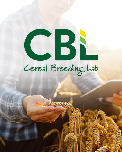 Cereal Breeding Lab (CBL) Web Design & Development, Graphic Design, Logo Design
