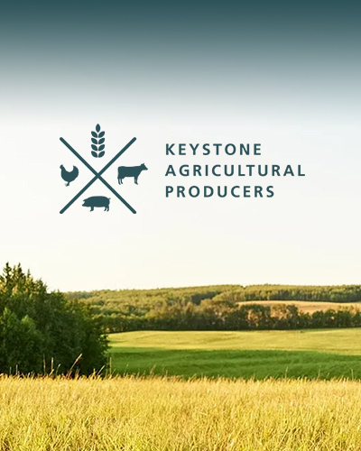 Keystone Agricultural Producers (KAP) Web Design & Development, Graphic Design, Publications